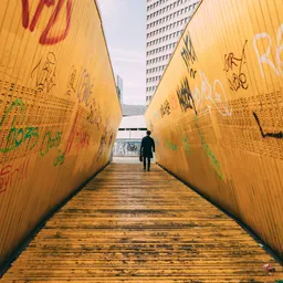 鹿特丹马拉松 · 第8周 · 不要训练过度