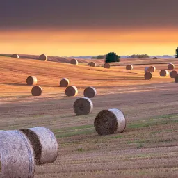 9月10日 | 教育公平、国际政局与反腐动态