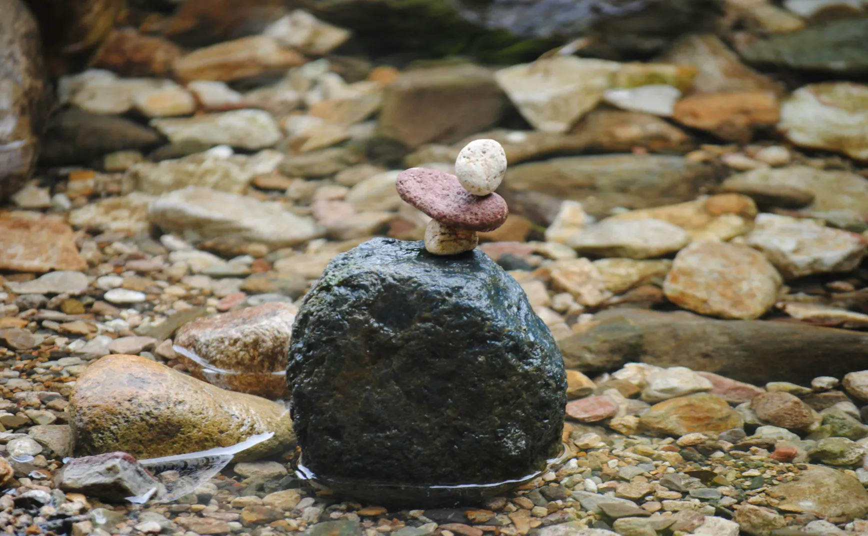 敏锐之道：解锁自我实现的隐藏密码