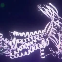 视紫红质：结构、成分与光信号捕捉