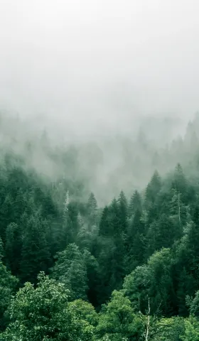 更好生活 009：写作初学者最常犯的错误、学会用分离心看人和事、警惕象征符号的陷阱