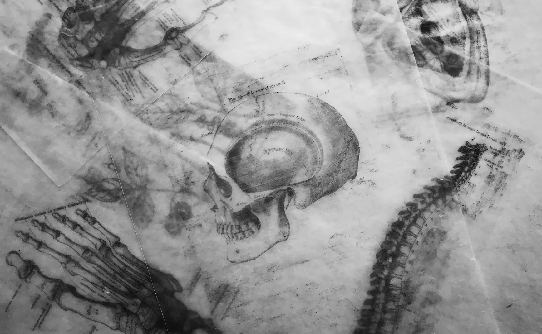 Anatomy: Short-Form Video Use and Cognitive & Mental Health Correlates - Meta-Analysis