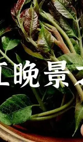 走，去赏桃花采蒌蒿吃河豚品刀鱼，莫负大好春光！