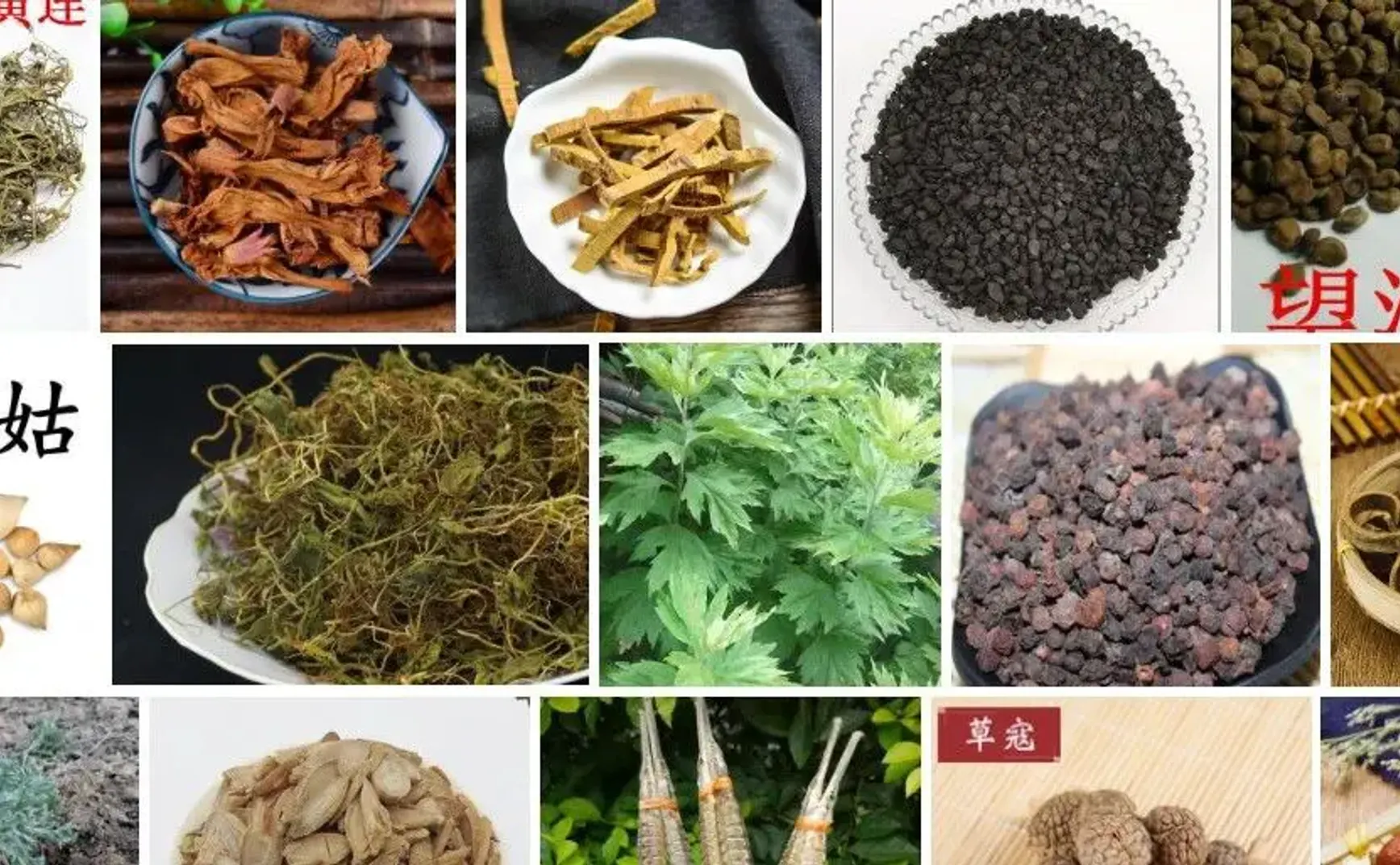 超过6000万亩！中药材种植爆发式增长或威胁粮食安全