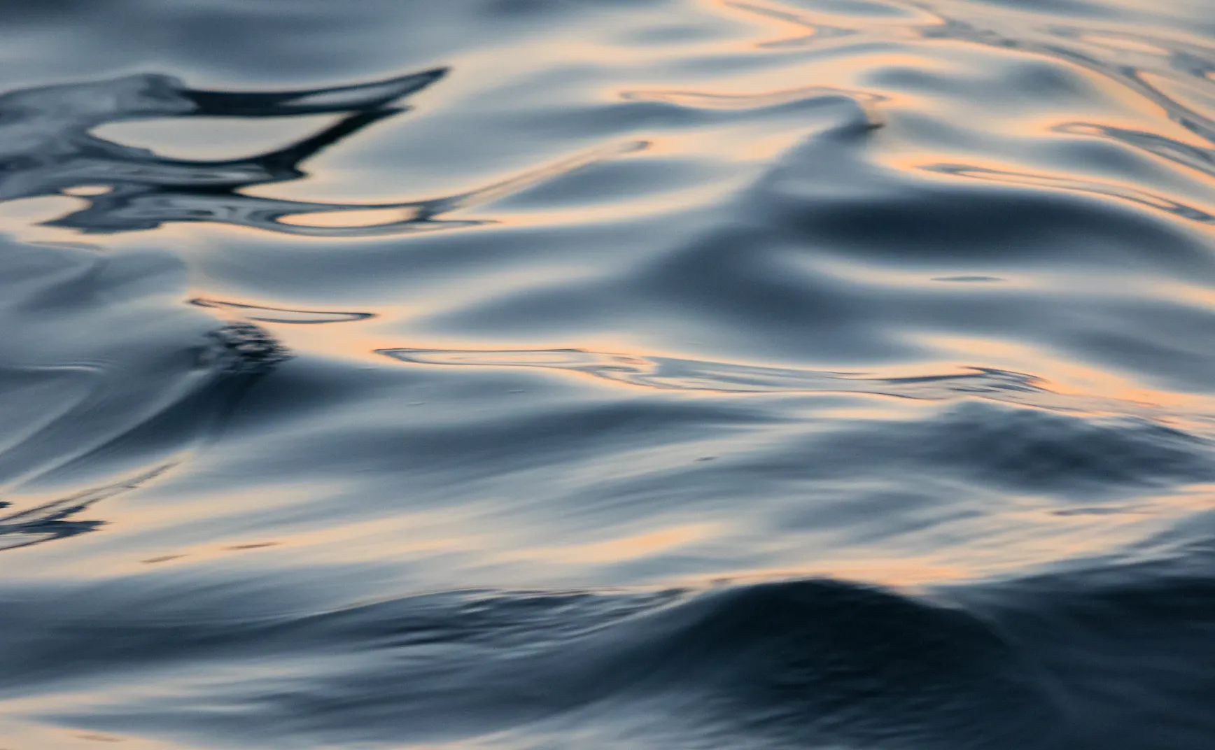 关于相位传递函数 (PTF) 的综述：从物理图像失真到生理神经适应