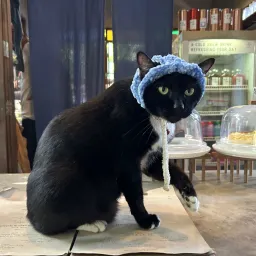 56. You don't get what you deserve, you get what you ask for