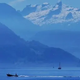 “历史照进现实”，这似乎不太现实