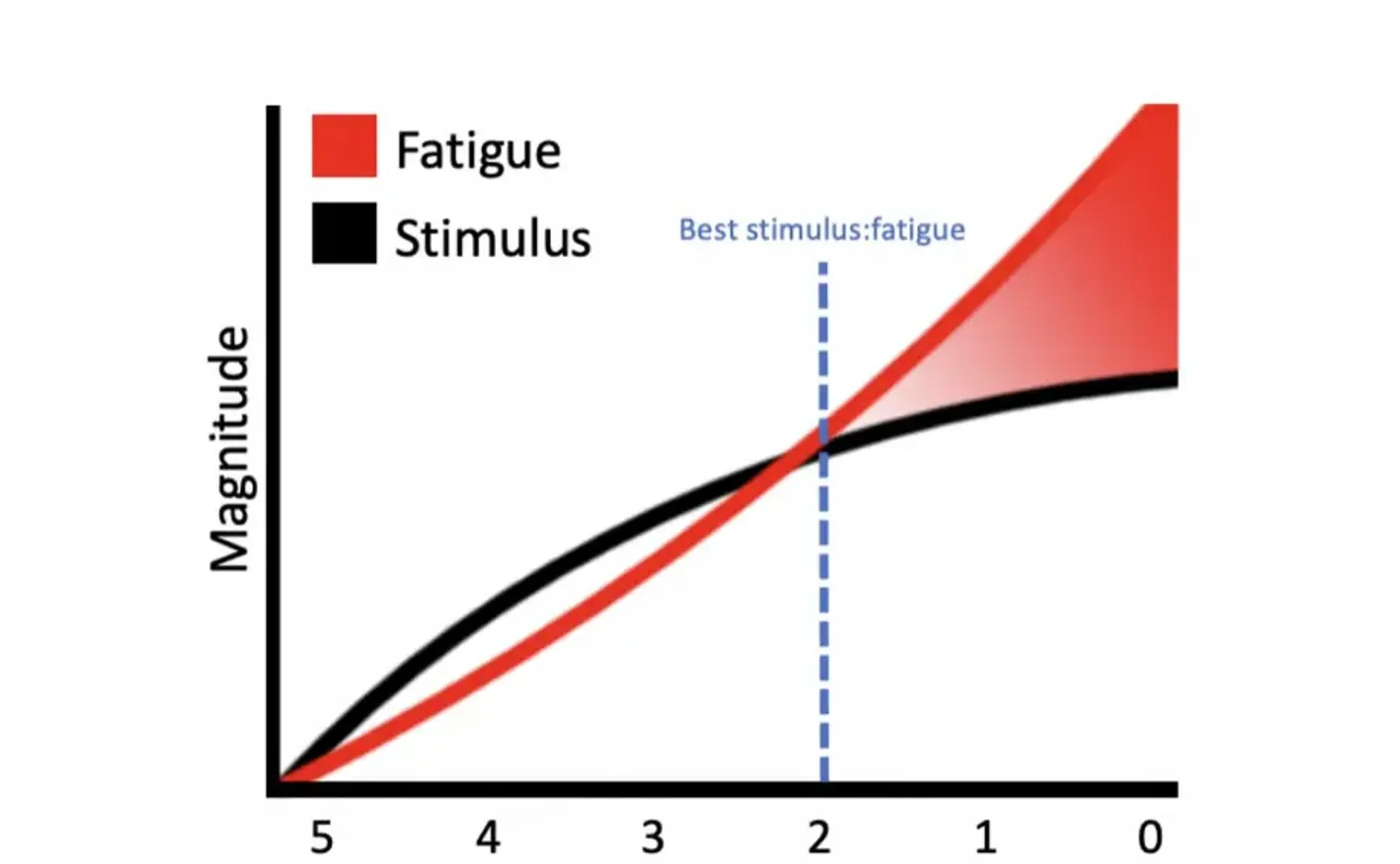 科学研究为我们揭示了肌肉增长的最佳训练强度