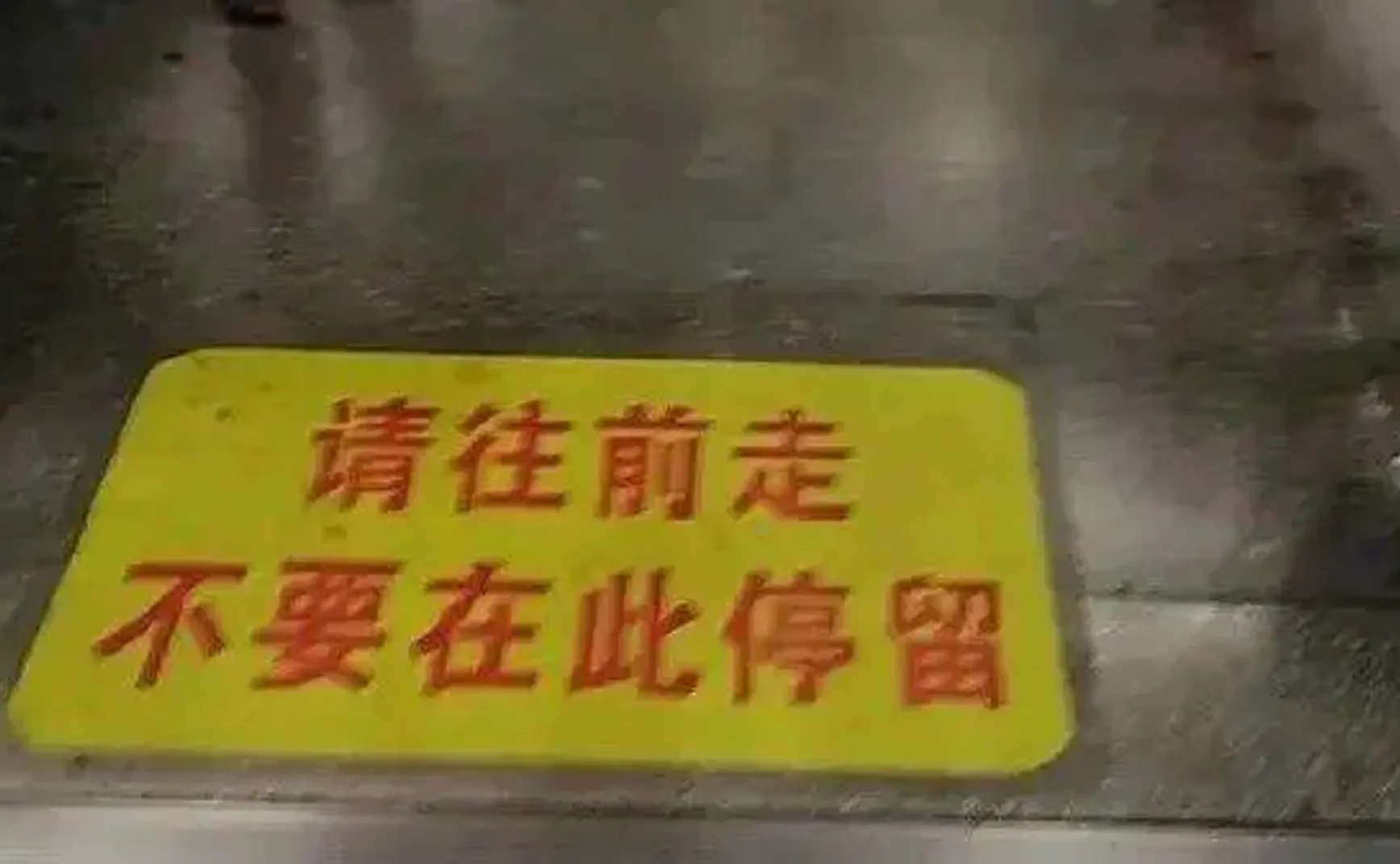 观察日记-01