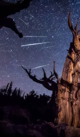 7月15日 | 中央部署反腐巡视与司法改革，未成年人网络保护引关注