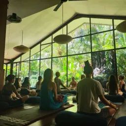 #41 巴厘岛:臣服实验(多图)