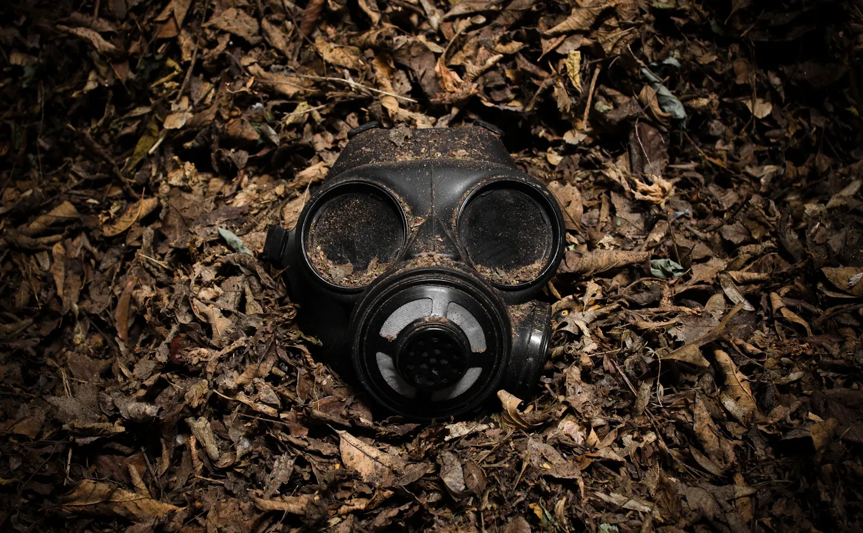 每个人都深受政治影响