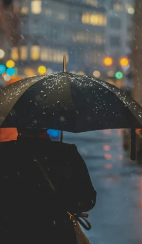 日评⎮风雨飘摇的日子里，抓一把伞