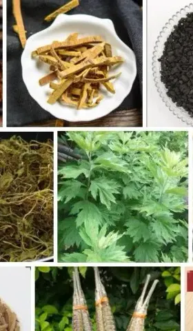 超过6000万亩！中药材种植爆发式增长或威胁粮食安全
