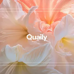 🐦 Quaily Alternatives