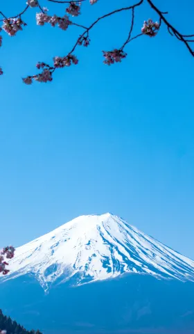 安妮薇看看 Anyway.Now #153