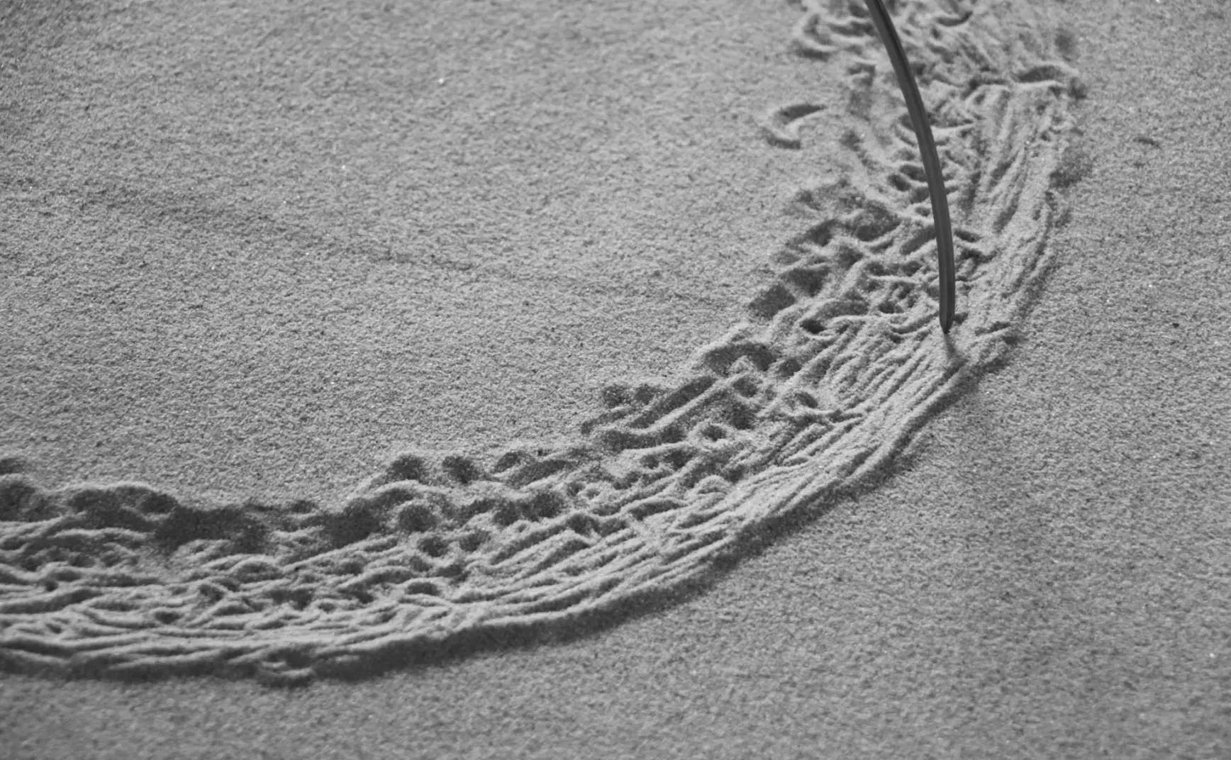 #12 复制 Hotmail：让用户替你做增长