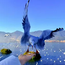 走过了很多地方,倒也没觉得累。