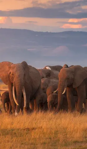 8月12日 | 加沙局势紧张引关注，国内养老诈骗案重审，国家公园完成确权