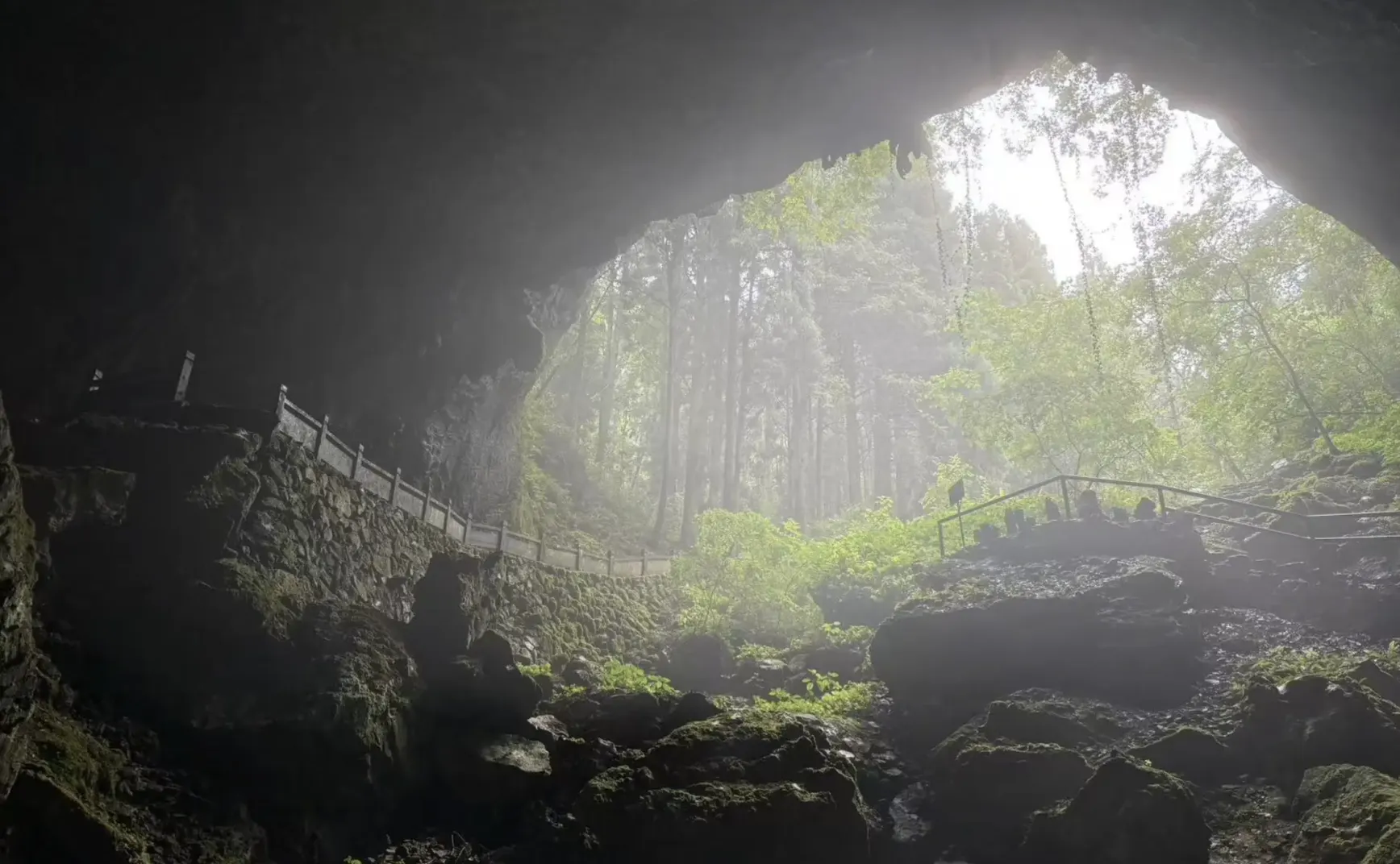 049期：IBM’s Carbon&系统提升视觉能力