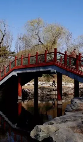 父母在，不远游？
