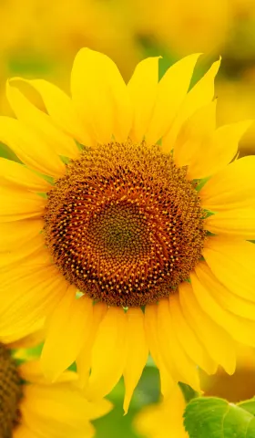 8月3日 | 亮证女司机身份查清，杀前夫案庭审引争议，美俄紧张升级