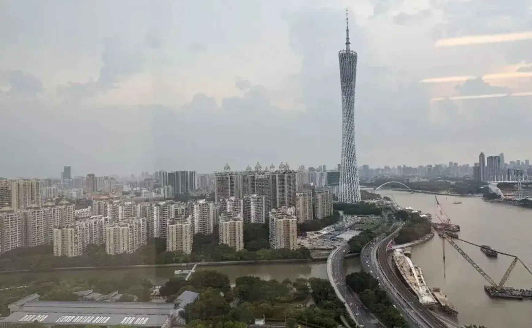Bolyn Weekly 019：越长大，越无知