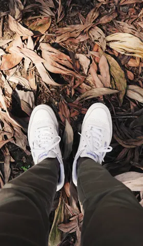 【解讀美股情緒】趁時間沒發覺，讓我帶著你離開 - 20260226