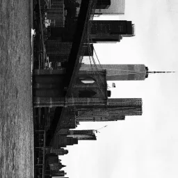 Semi-paranoid #49 曾为纽约客