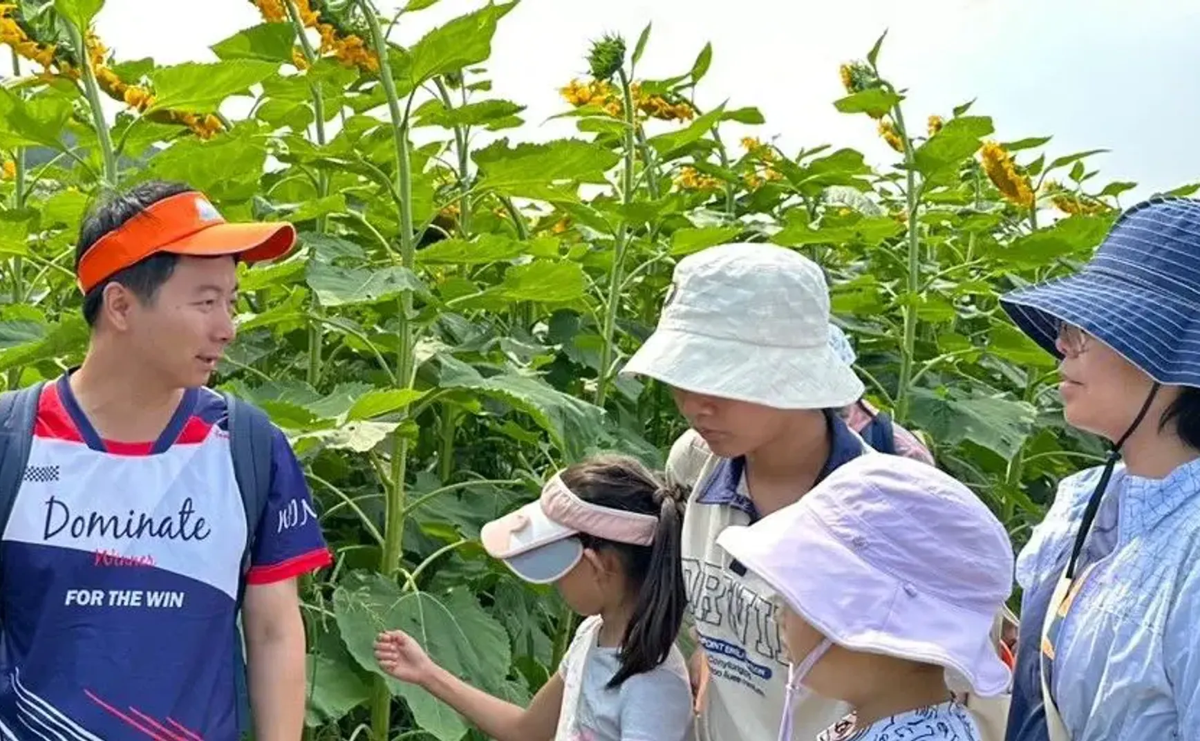 带夏令营的过程，也是补上我自己梦想的童年