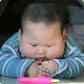清真观察