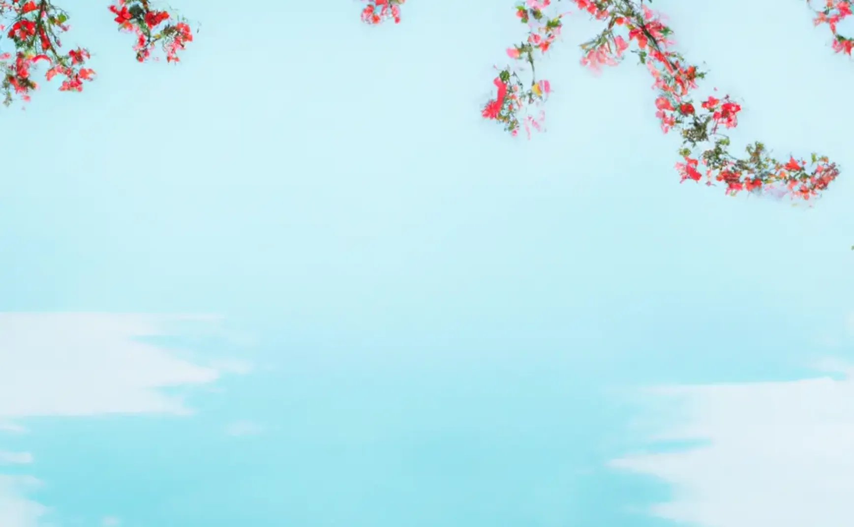 Semi-paranoid #20 Microsoft Designer 试用体验