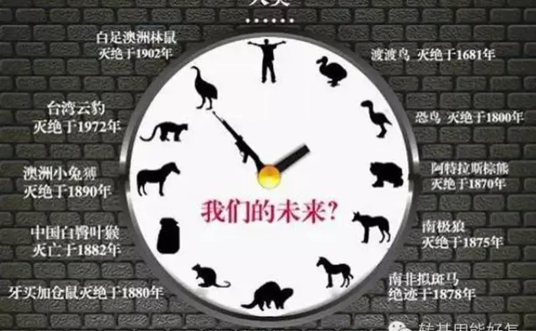 假如生物大灭绝，谁会先失去工作？