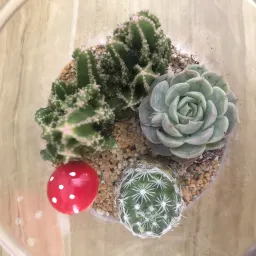 不应只是剪刀手