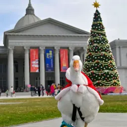 day13扩图分割阳光