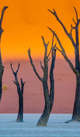 9月2日 | 上合组织通过未来十年战略；抗战胜利80周年大会将举行；多项新规9月施行