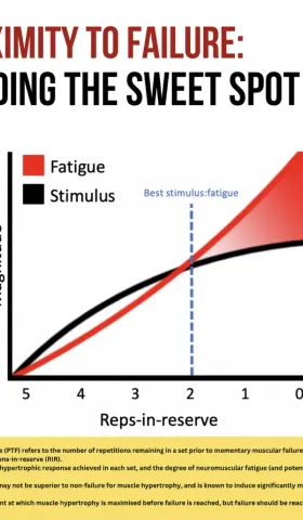 科学研究为我们揭示了肌肉增长的最佳训练强度