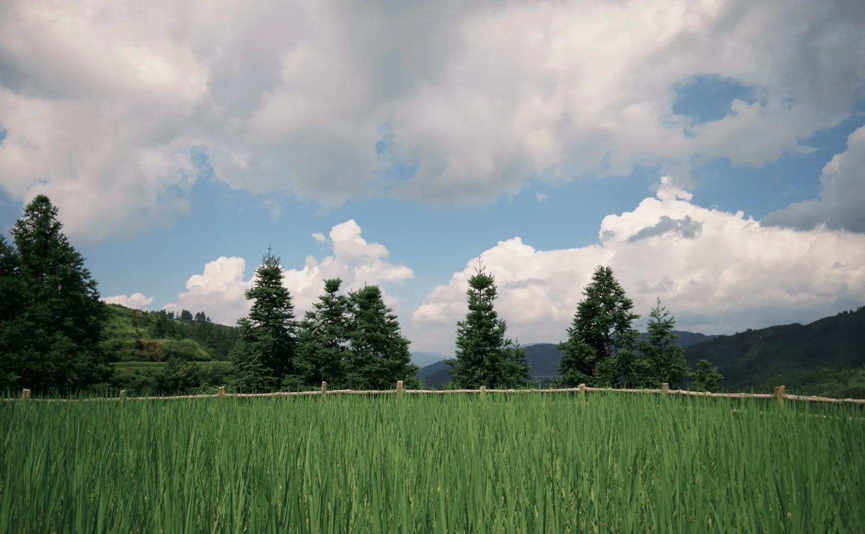 Issue #30 理解文化障碍：“原来不是我很奇怪”