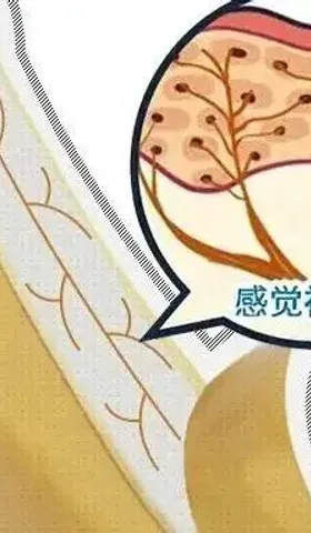 为什么男人总喜欢在那方面吹牛？
