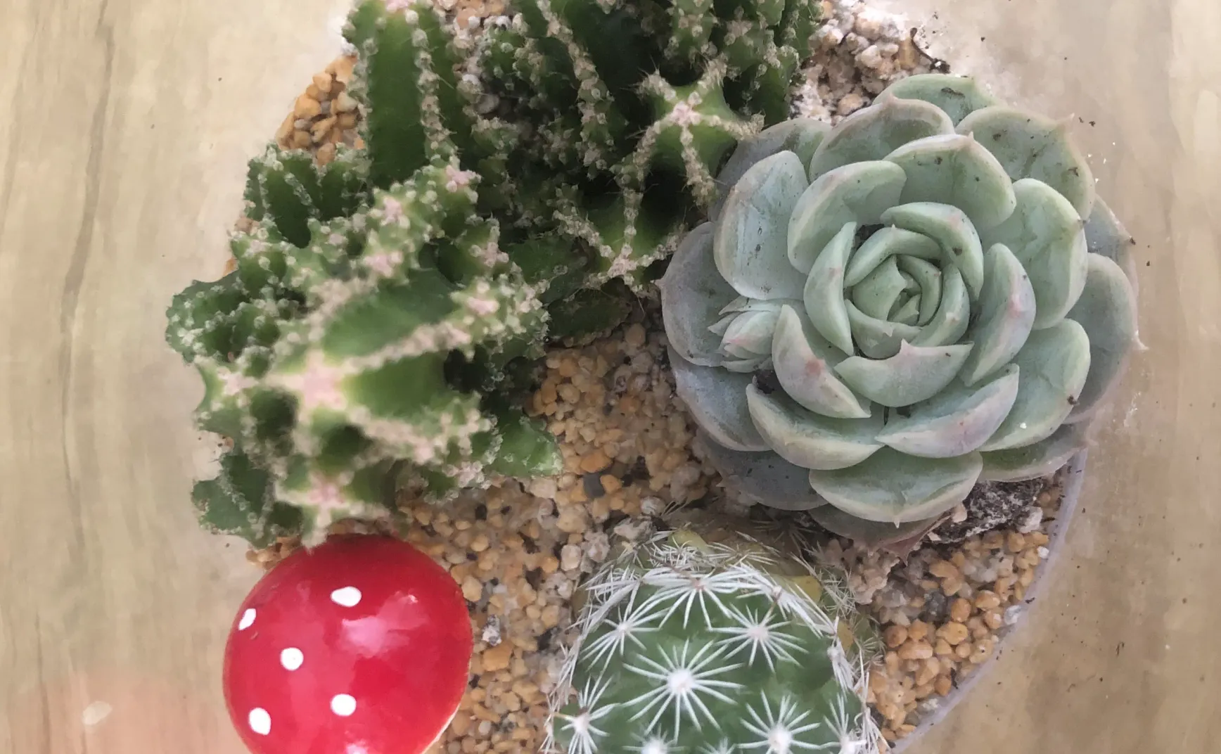 不应只是剪刀手