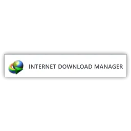 Clear IDM (Internet Download Manager)'s download history