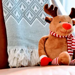 Christmas Decoration Shopping Guide 2024: Christmas Goodies