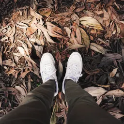 【解讀美股情緒】趁時間沒發覺，讓我帶著你離開 - 20260226