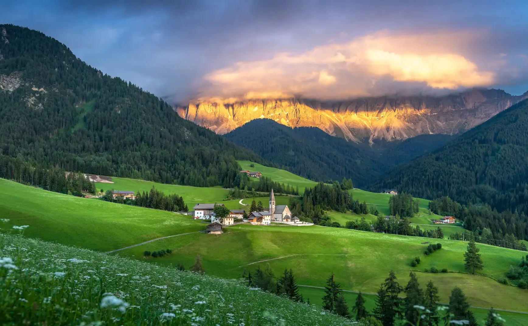 8月11日 | 今日关注：社会治理、历史记忆与科技发展