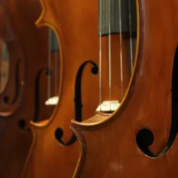 #9 沉默的大多数