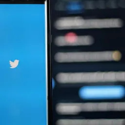 🐦 Introducing Quaily New Feature: X (formerly Twitter) Integration