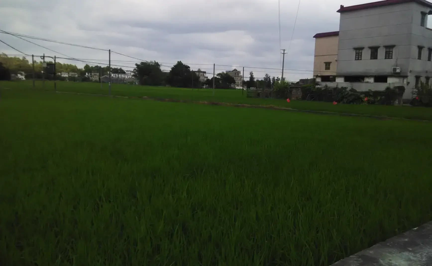 开平一日游——Travelogue in 2015