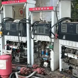 冷眼看蒋方舟事件