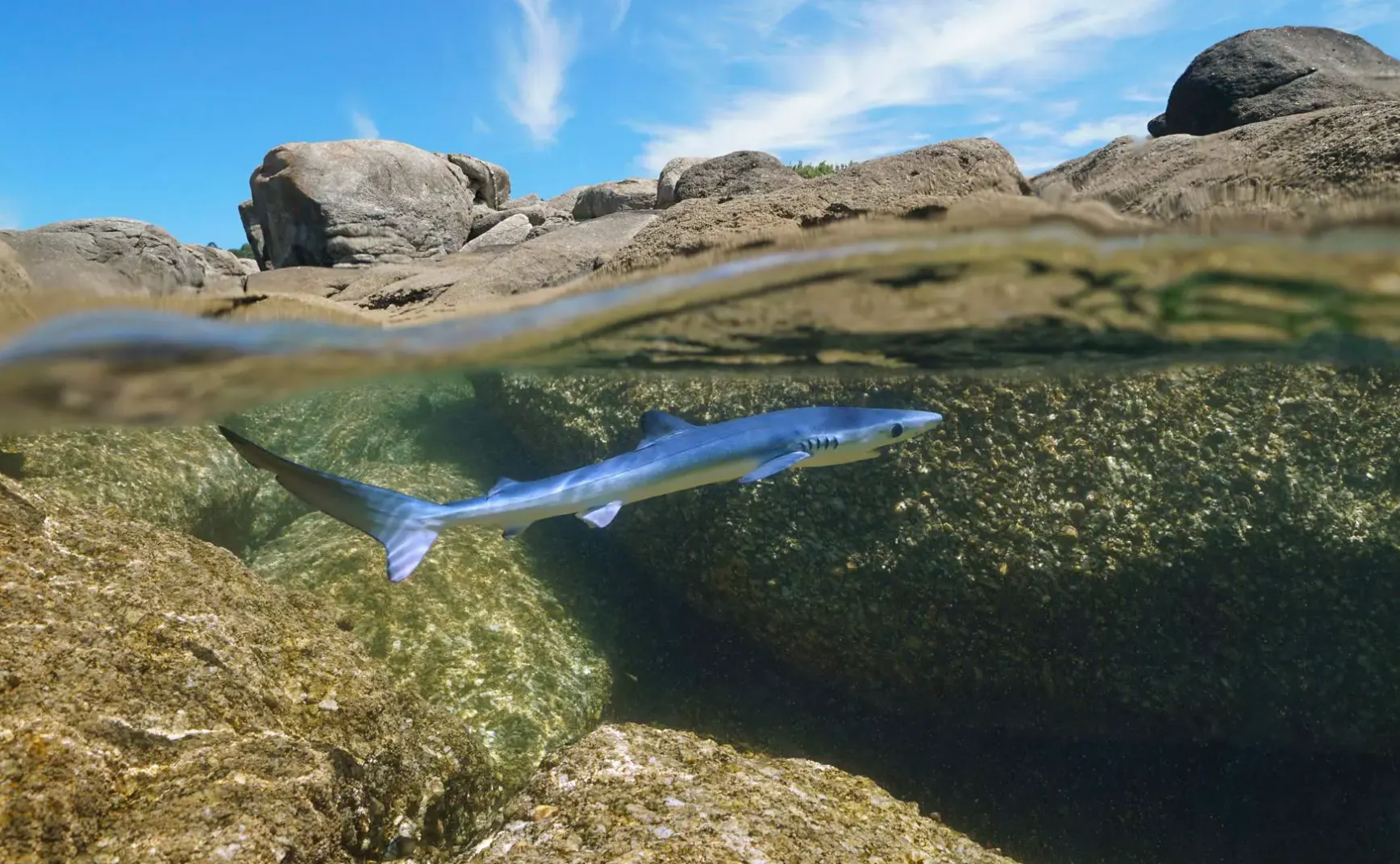 7月14日 | 国家基建新进展，国际贸易起波澜，多领域聚焦治理与安全