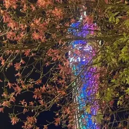 随机展示10条被我拉黑的评论